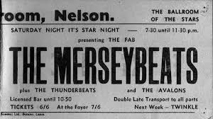 Image result for the merseybeats 2015
