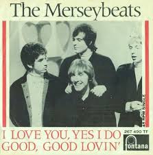 Image result for the merseybeats 2015