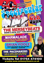 Image result for the merseybeats